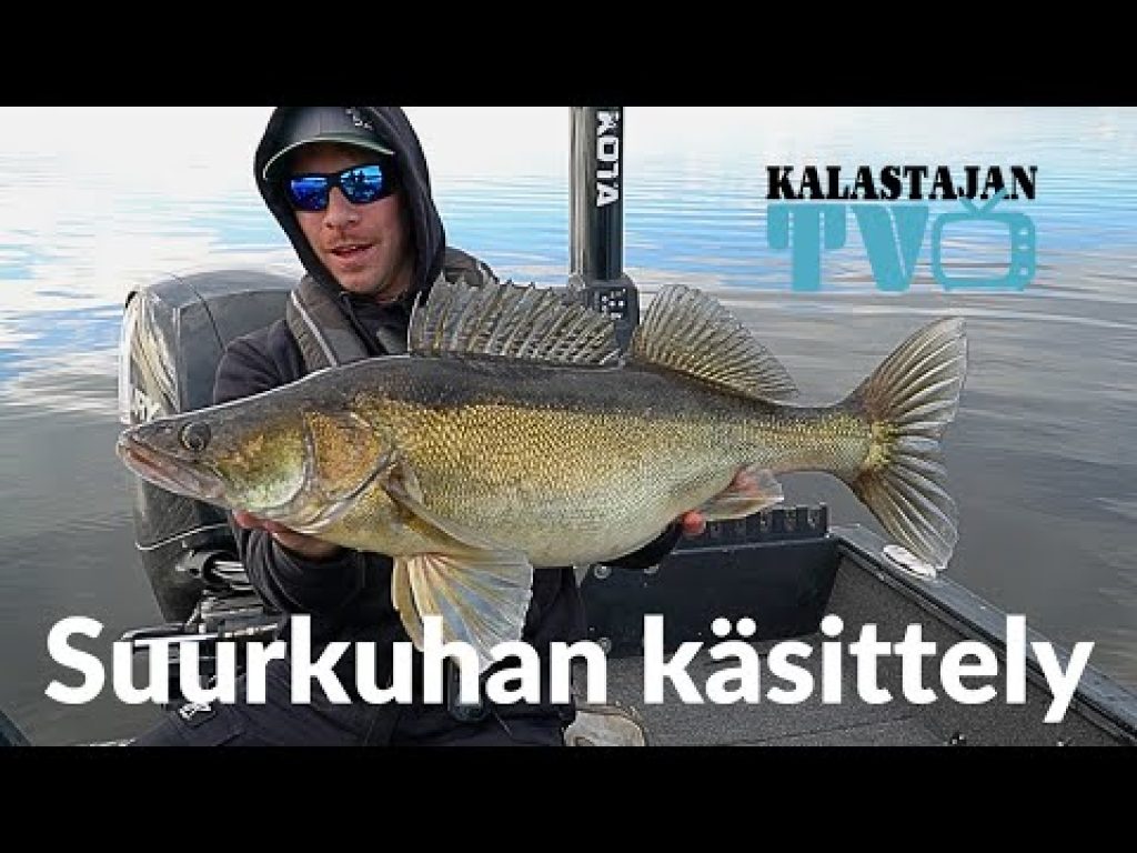 Suurkuhan käsittely | Kalastajan TV
