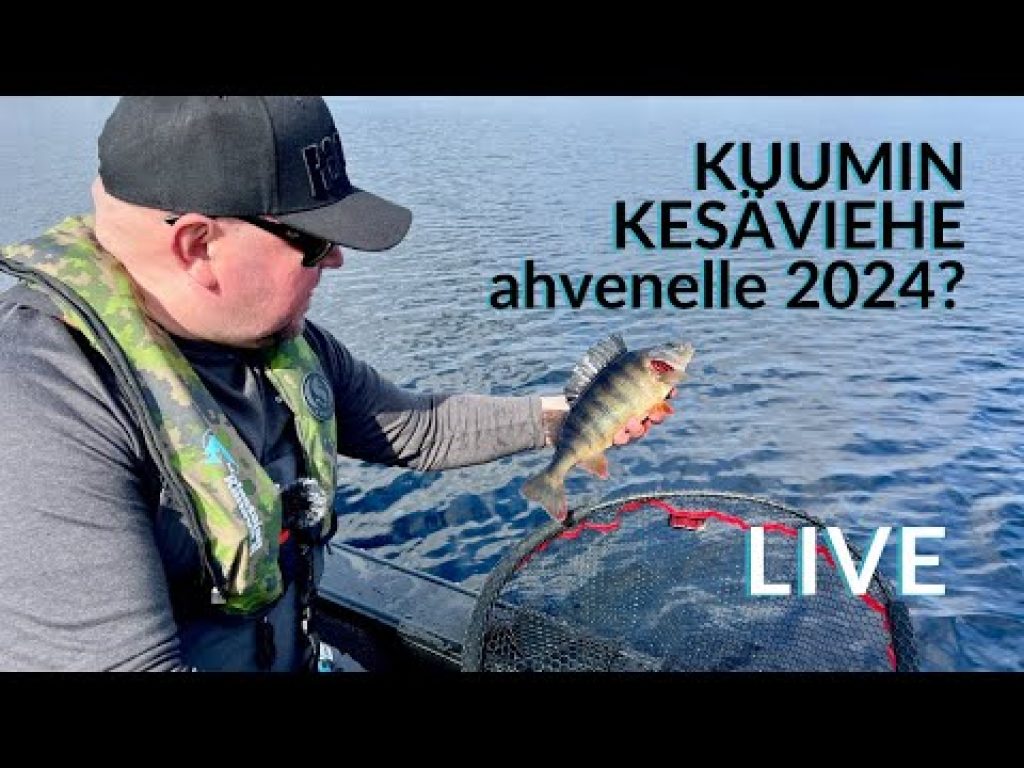 Kuumin kesäviehe 2024 ahvenelle? | LivE