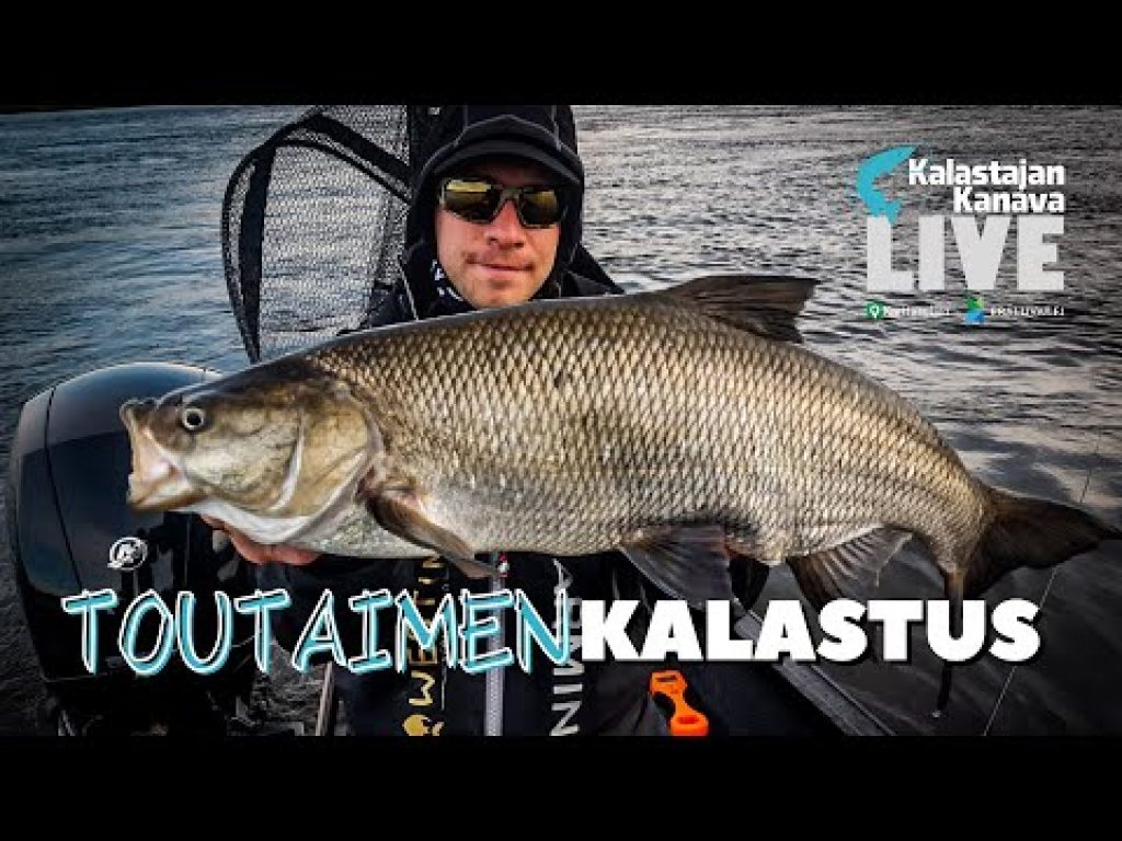 Toutaimen kalastus – Kalastajan Kanavan LivE