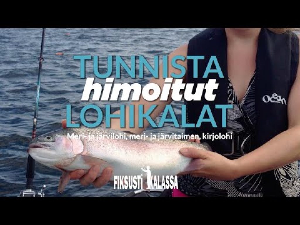 Tunnista himotut lohikalat | Fiksusti kalassa