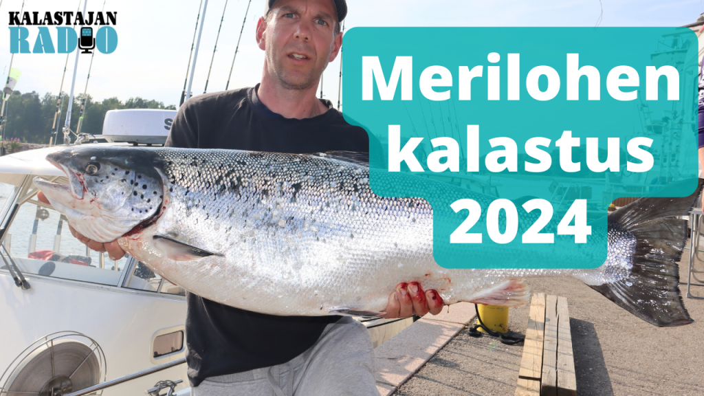 Merilohen kalastus 2024