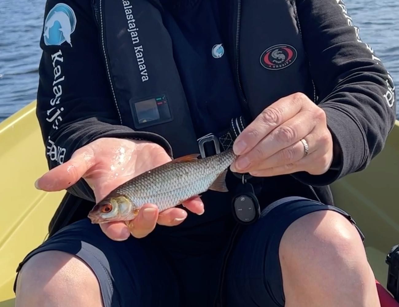 Särki - Kalastajan Kanava