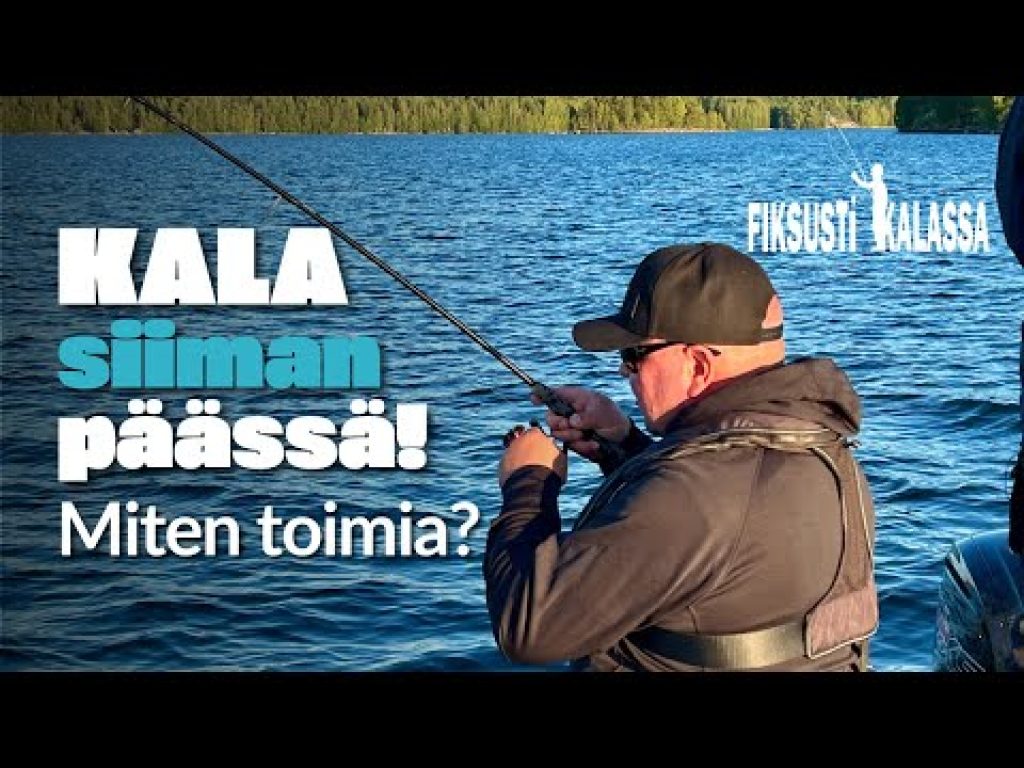 Ruokakalan käsittely | Fiksusti Kalassa