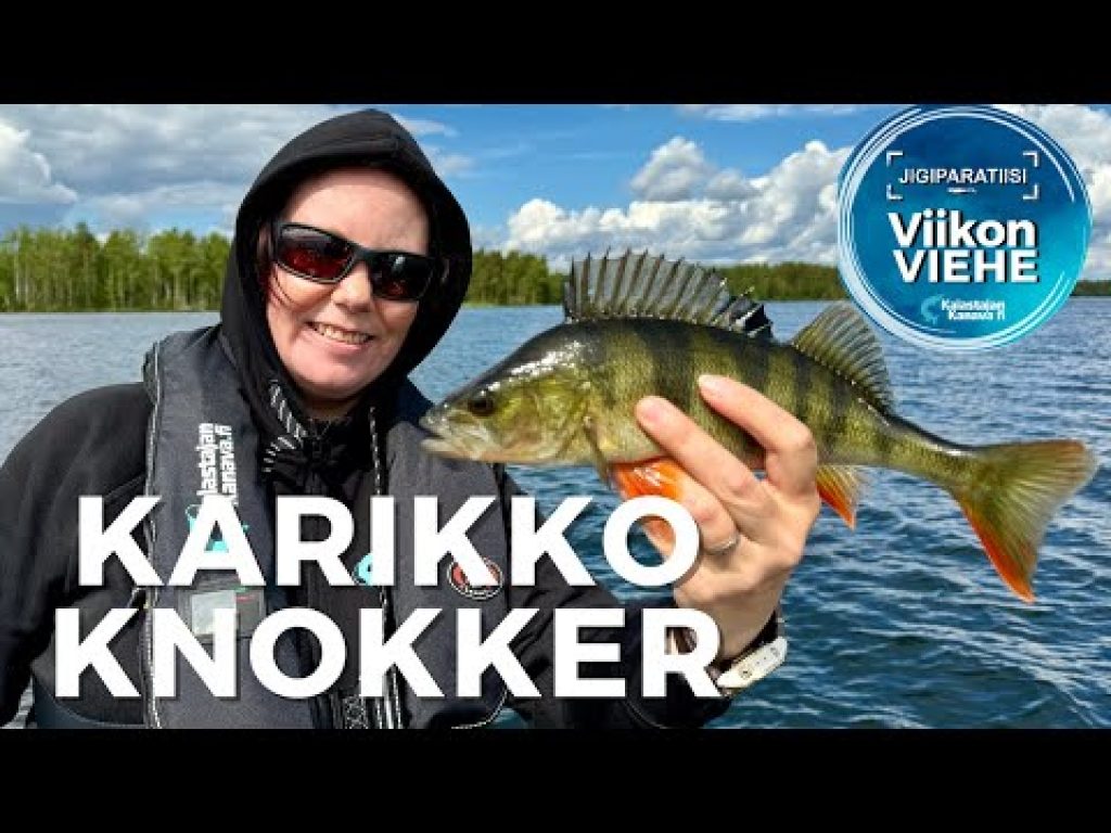 Karikko Knokker | Viikon Viehe