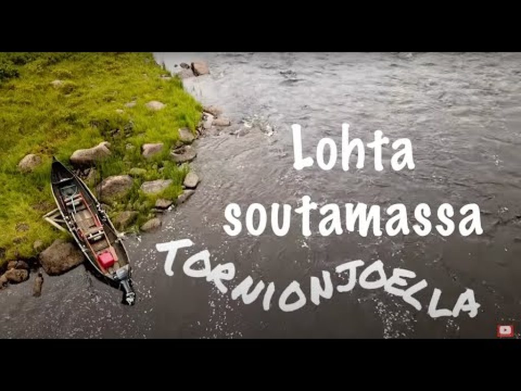 Lohta soutamassa Tornionjoella | Ilmoitusvelvollisuus tulee