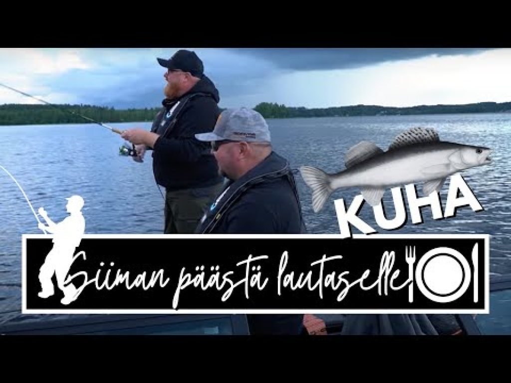 Kalastetaan KUHAA ruuaksi | Siiman päästä lautaselle