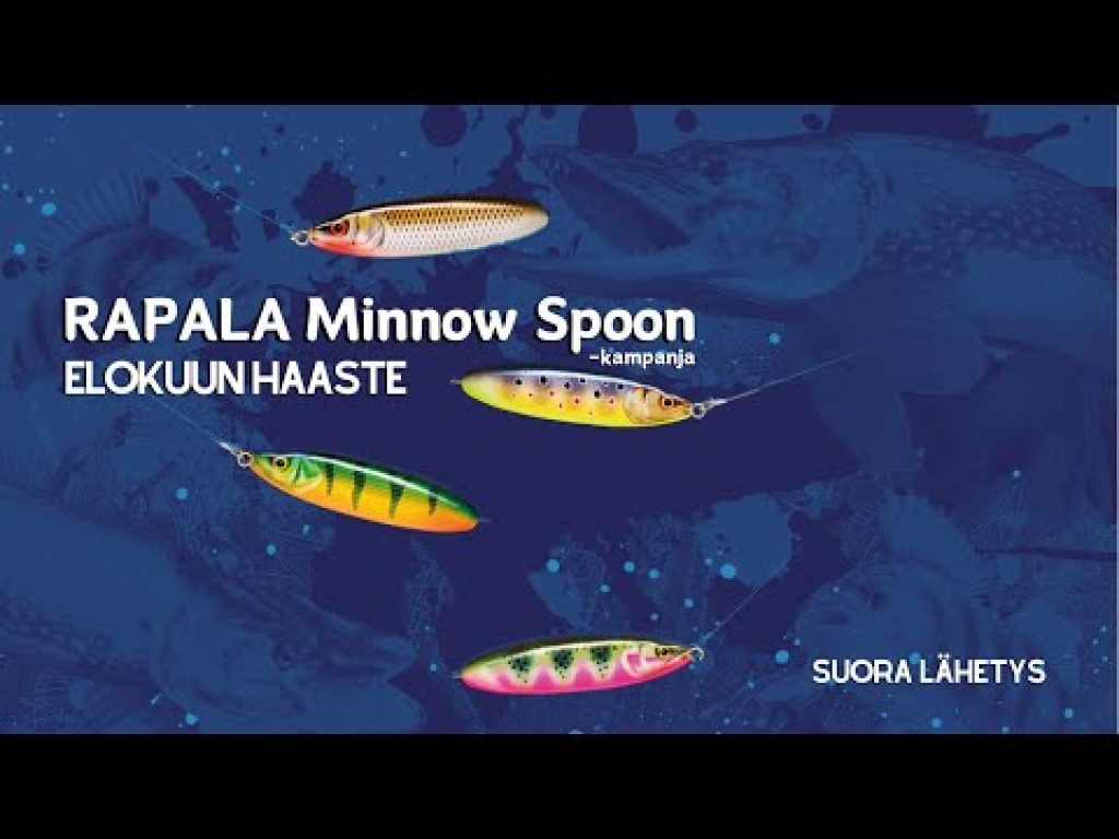 Kalasta tuunatulla Minnarilla | Elokuun  Minnow Spoon -haaste