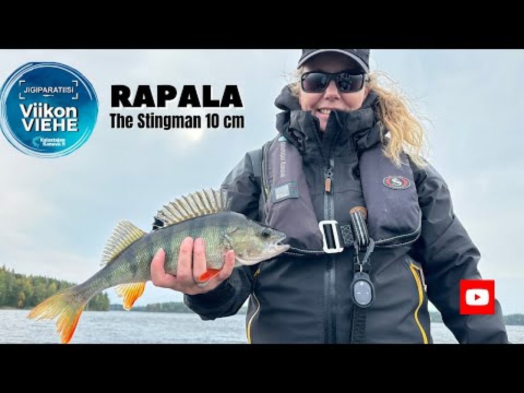 Rapala CrushCity The Stingman 4″ | Viikon Viehe