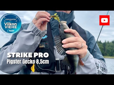 Strike Pro The Pigster CWC: Set 10 Esche Da 10 Cm In 10 Colori Diversi - Nuovo