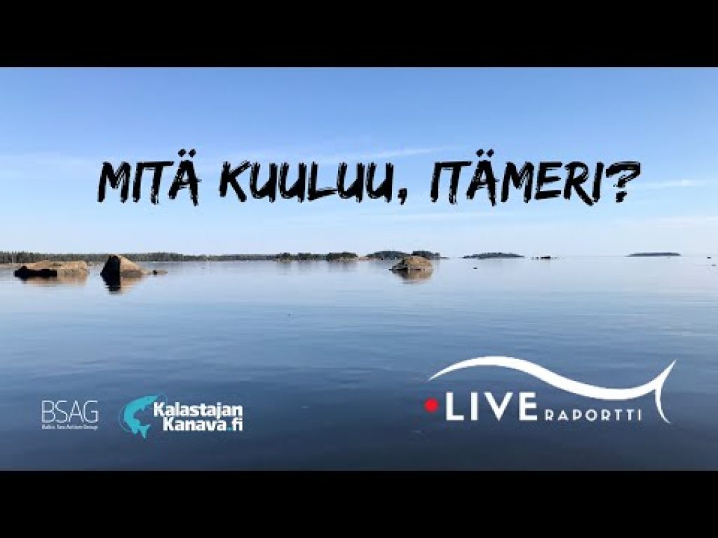 Mitä kuuluu, Itämeri? | Liveraportti