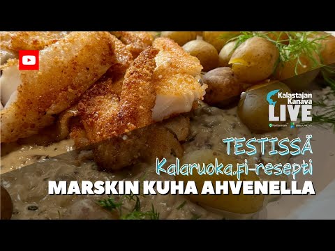 Testissä Kalaruoka.fi-resepti – Marskin ahven | Kalastajan Kanavan Live