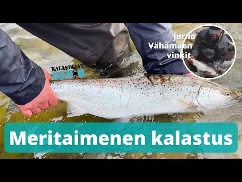 Meritaimenspesialistin kalastusvinkit | Kalastajan TV