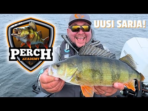 Tutustu Perch Academyyn eli Ahvenakatemiaan