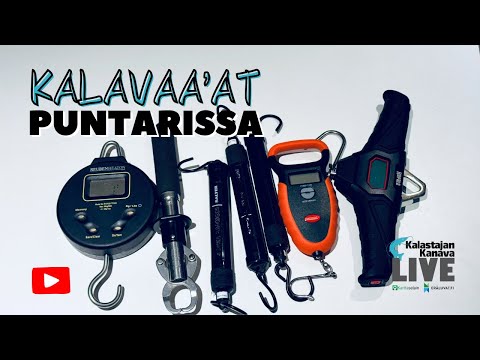 Kalavaa’at puntarissa | Kalastajan Kanavan LivE
