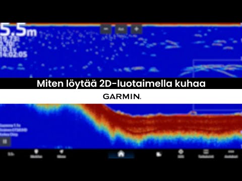 Miten löytää kuhaa 2D-luotaimen avulla