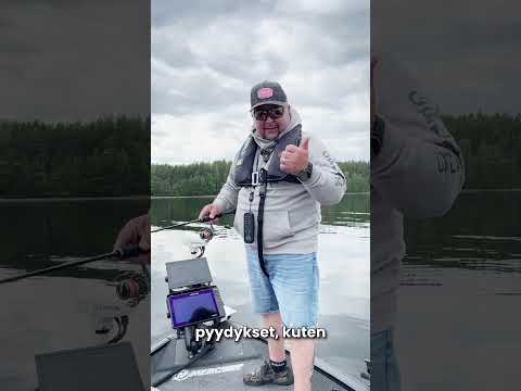 Saimaalla kalaverkot naulaan vielä heinäkuun #kalastus