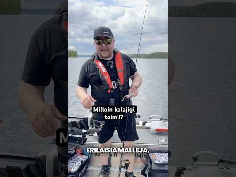 Milloin kalajigi jigi toimii? Entä miten eri lapapyrstöiset jigit eroavat toisistaan? #kalastus