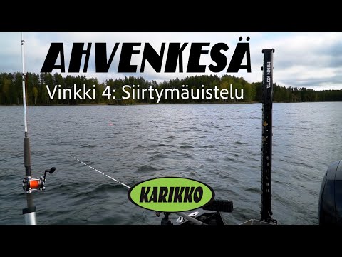 Siirtymäuistelu | Ahvenkesävinkki 4