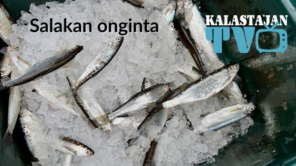 Salakan onginta | Pekka Rintamaan vinkit | Kalastajan TV