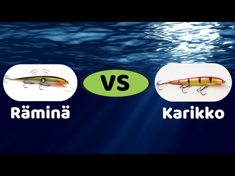 Karikko räminällä vai ilman | Kumpi toimii paremmin kuhanuistelussa -kisa!