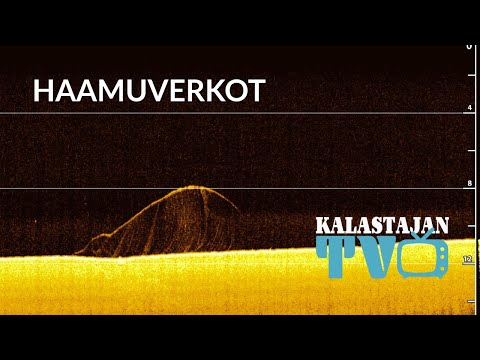 Mitä ovat haamuverkot? | Opettele tunnistamaan