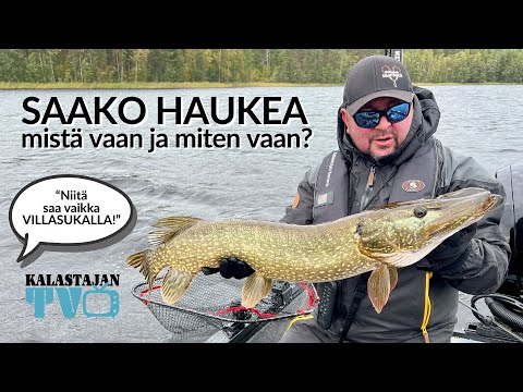Saako haukea mistä ja miten vaan? | Kalastajan TV