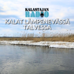 Kalastajan Radio