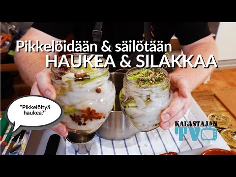 Säilötään ja pikkelöidään silakkaa ja haukea ⎜Kalastajan TV