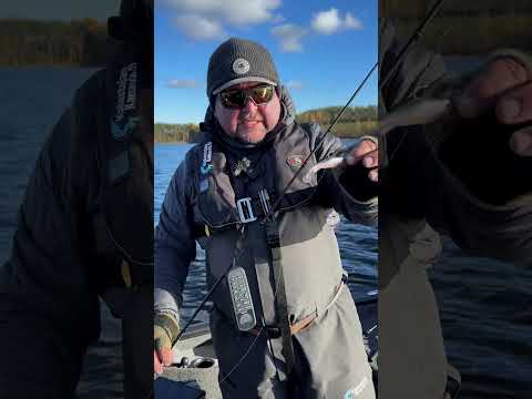 Joulukalenterin 3. luukku on auki! Voita 14 jigipakettia itsellesi! #kalastus