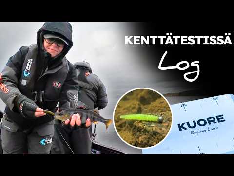 Kuore LOG | Uutuusjigi kenttätestissä