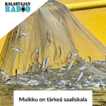 Kalastajan Radio
