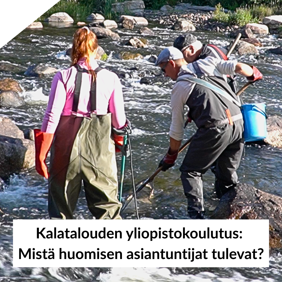 Kalatalouden yliopistokoulutus: Mistä huomisen asiantuntijat tulevat? episode artwork
