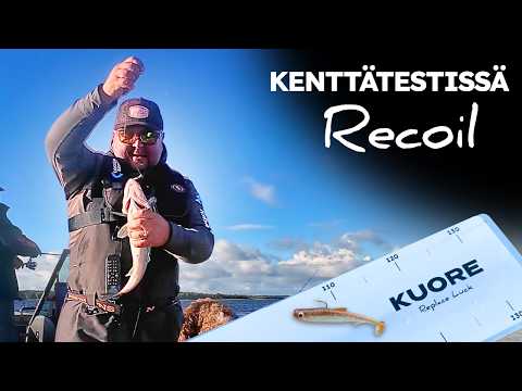 Kuore Recoil | Kenttätestissä uutta lapapyrstöjigiä ahvenelle ja kuhalle