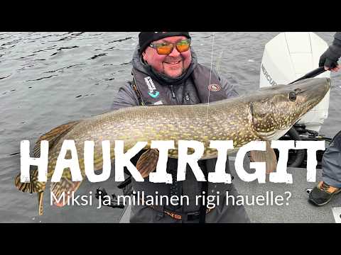Haukirigit | Millainen rigi hauelle ja miksi?