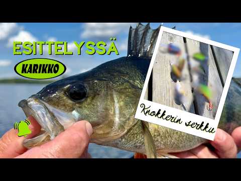 Mikä on Knokkerin serkku? | Uutuusviehe esittelyssä