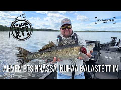 Ahventa etsittiin, kuhaa kalastettiin | Kalastus NYT