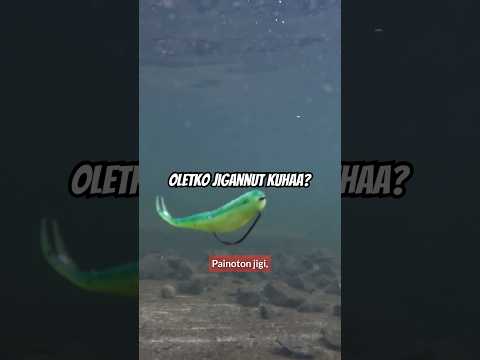 Oletko jigannut kuhaa? Katso ja osallistu!