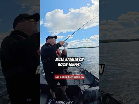 Minkä kalan tärppi on kovin? Katso ja osallistu arvontaan!