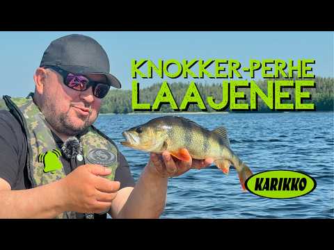 Knokker-perhe laajenee
