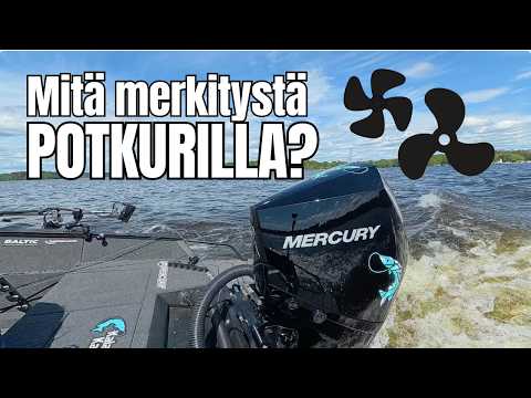 Potkurin valinta | Mihin kaikkeen se vaikuttaa?