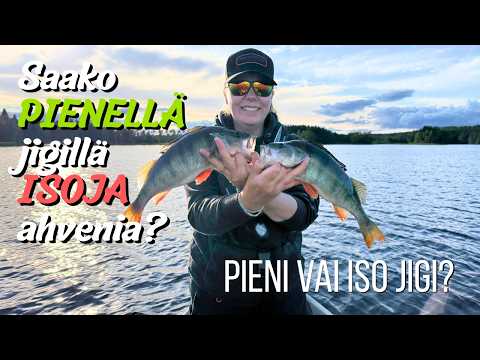 Pienellä jigillä isoja ahvenia | Iso vai pieni viehe? | Kalastus NYT